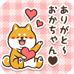 Pocha Shiba Okachan (Love)