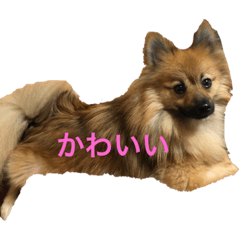 chan_20200613201622