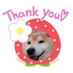 kazumi_20200613225116