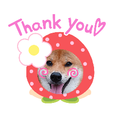 ringo_20200613233154