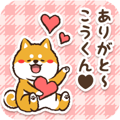 Pocha Shiba Koukun (Love)