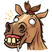 Crazy horse !