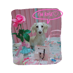 Hikari_20200614094729