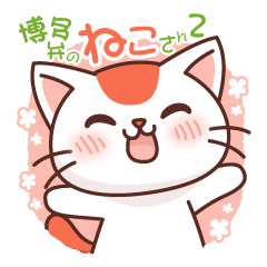 Hakata of cat 2