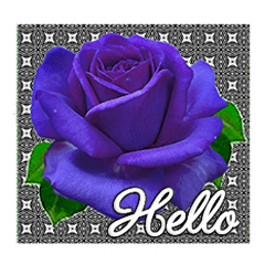 Beautiful Flowers for Greeting 2