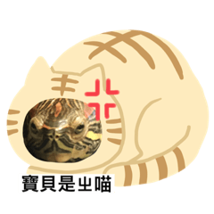 寶貝龜的日常（2彈）