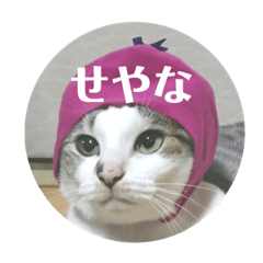 Nagisa_20200614115319