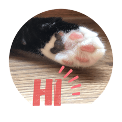 我只是比較不上相