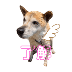 Hana chun