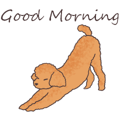 Real toy poodle sticker -English