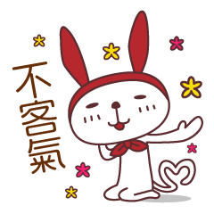 Coco the rabbit-cat (Taiwan)