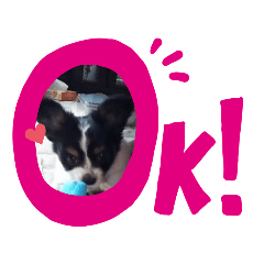 himawari_20200614151358