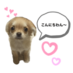 kaho_20200614151228