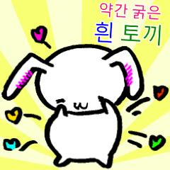 A little thick white rabbit [Korea]