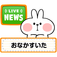 Message Spoiled Rabbit [JPN]