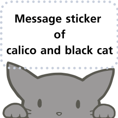 message of calico and black cat