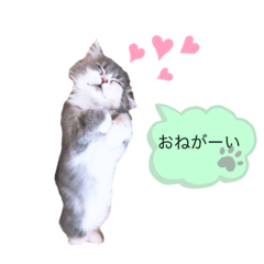 ねこはるすたんぷ2