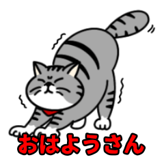 Osaka dialect cat stickers