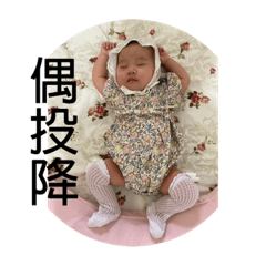 陳芩儀