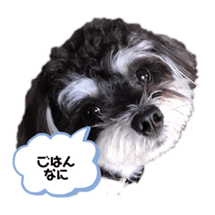 chaorin_20200614191827