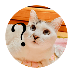 sumire_20200614183029