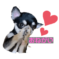 mizuki_20200614185954