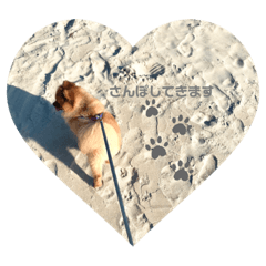 popofudanyoukawaiishuki