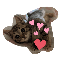 akiko_20200615103645