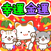 Natural cat, good & money fortune japan