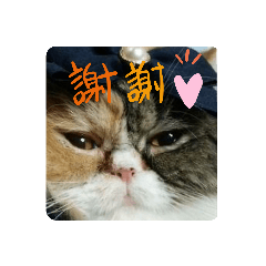 himetonsora