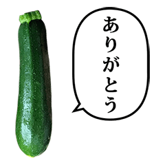 zucchini midori 7