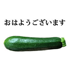 zucchini midori 4