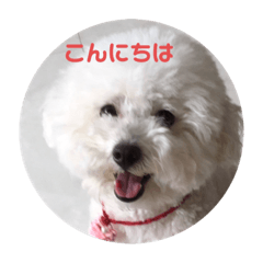 Satomin_20200614210120