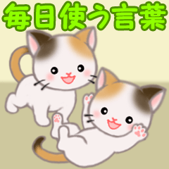 Twin calico kittens 2