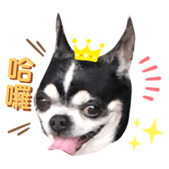 哈囉果凍～