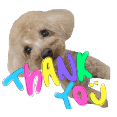 haruna_20200614213953