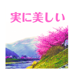 Landscapes, sometimes dog and cat.