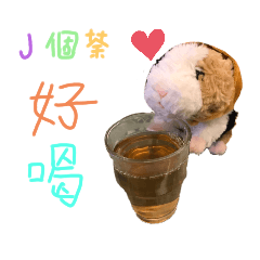 只會吃der小帽帽鼠