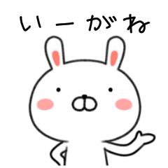 名古屋的方言兔子可愛地快樂的日常