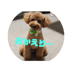 Dan_20200615131730