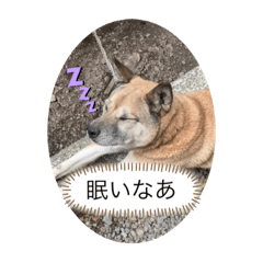 Riho_20200615143947