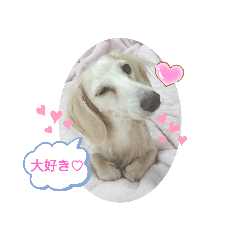 Hikari_20200615155220