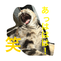 Cherry_20200615145717