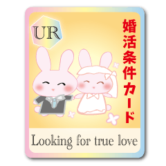 Action for marriage condition rabbit