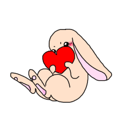 First love rabbit