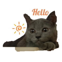 Patty_20200614195201