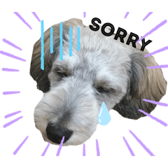 smile_20200615174051