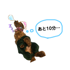 poodle.pero_rucha20200615224714pien