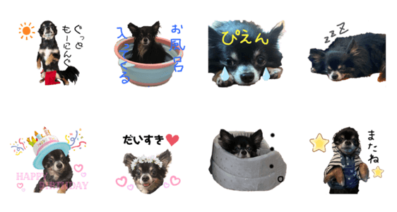 愛犬チワワらぶ Lineクリエイターズスタンプ Stamplist