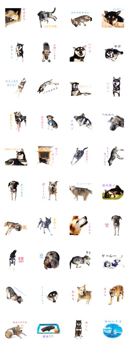 Line クリエイターズスタンプ ナナ ハチ ジェシーの日常すたんぷ